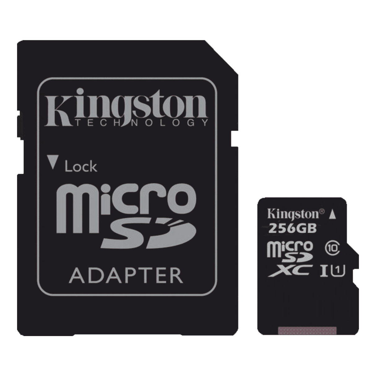 Class 10 256GB Micro SD Card, High-Speed Storage