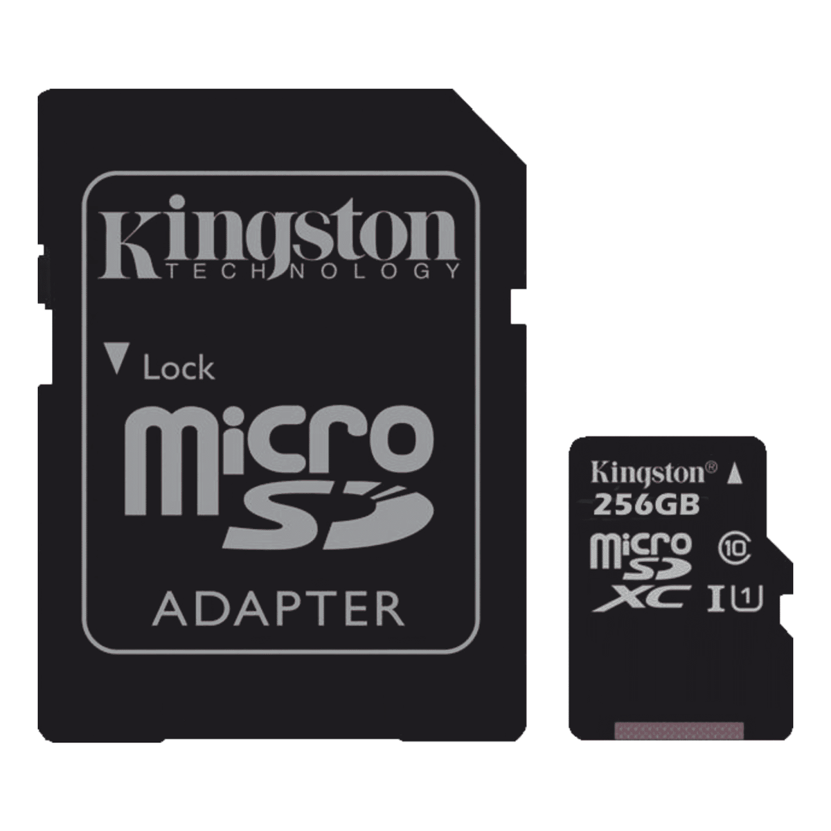 Class 10 256GB Micro SD Card, High-Speed Storage