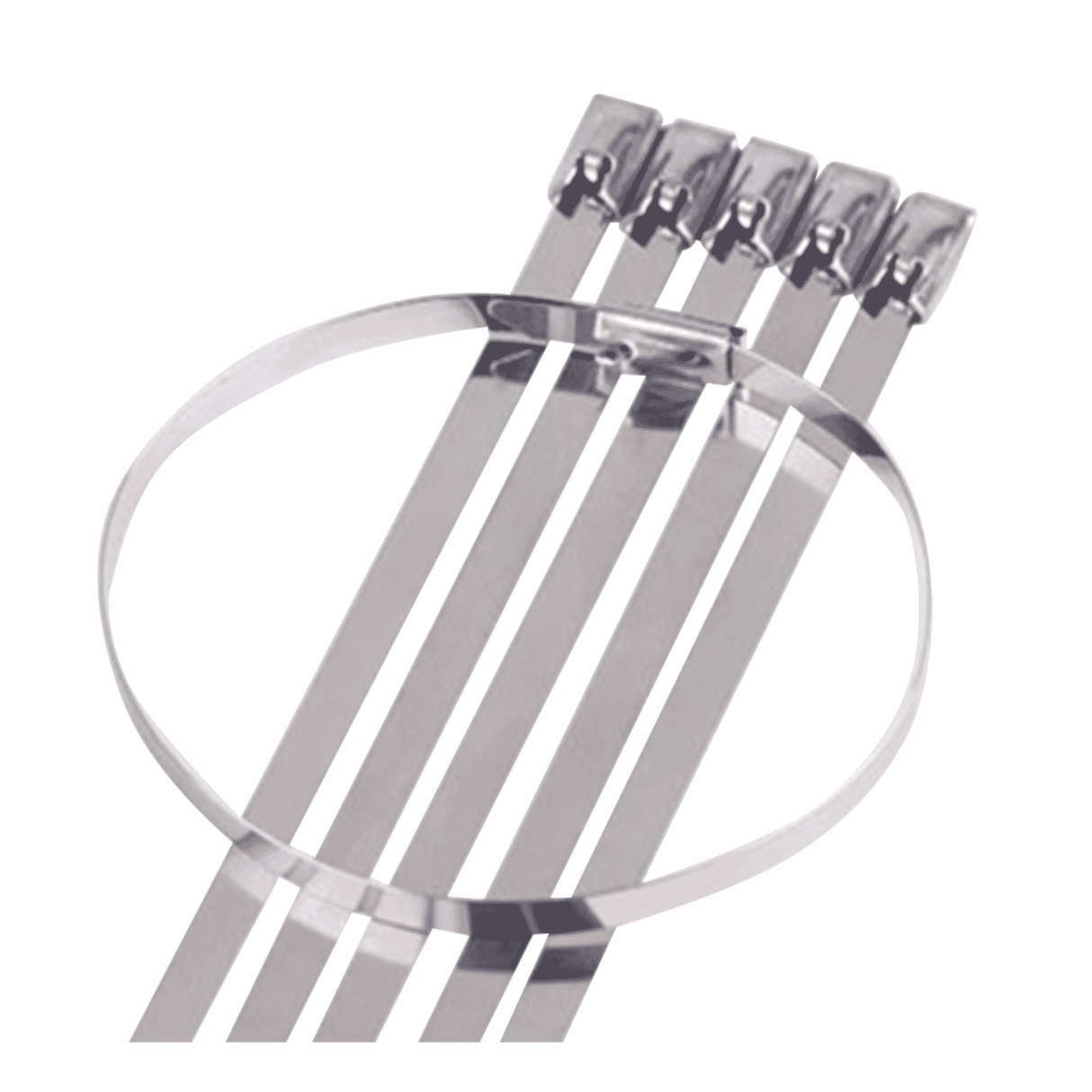 Haydon HAY-SS300 300mm x 4.6mm Stainless Steel Cable Ties - Pack of 100, High-Tensile Strength